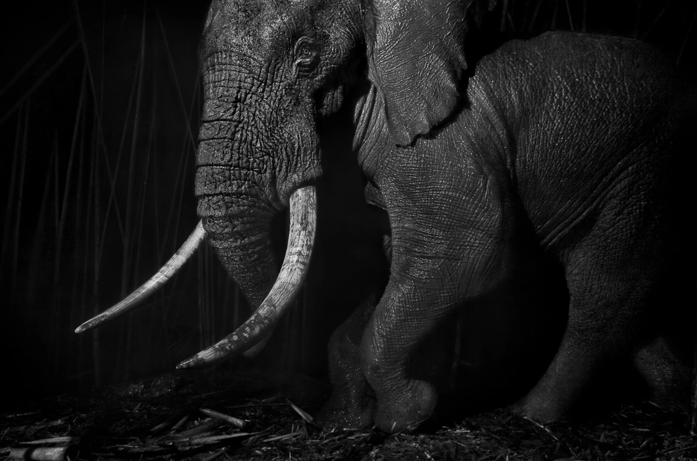 David Gulden -The Centre Cannot Hold - The Eye of Photography Magazine